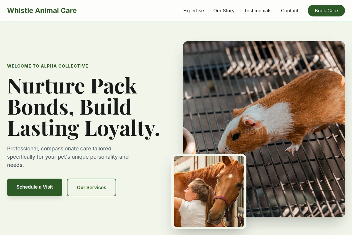 animal-care