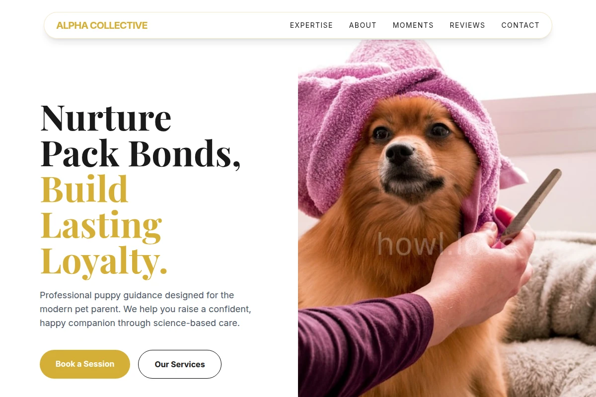 Puppy Animal Care