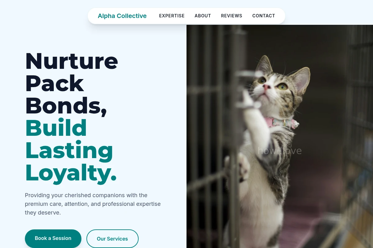 Fang Animal Care