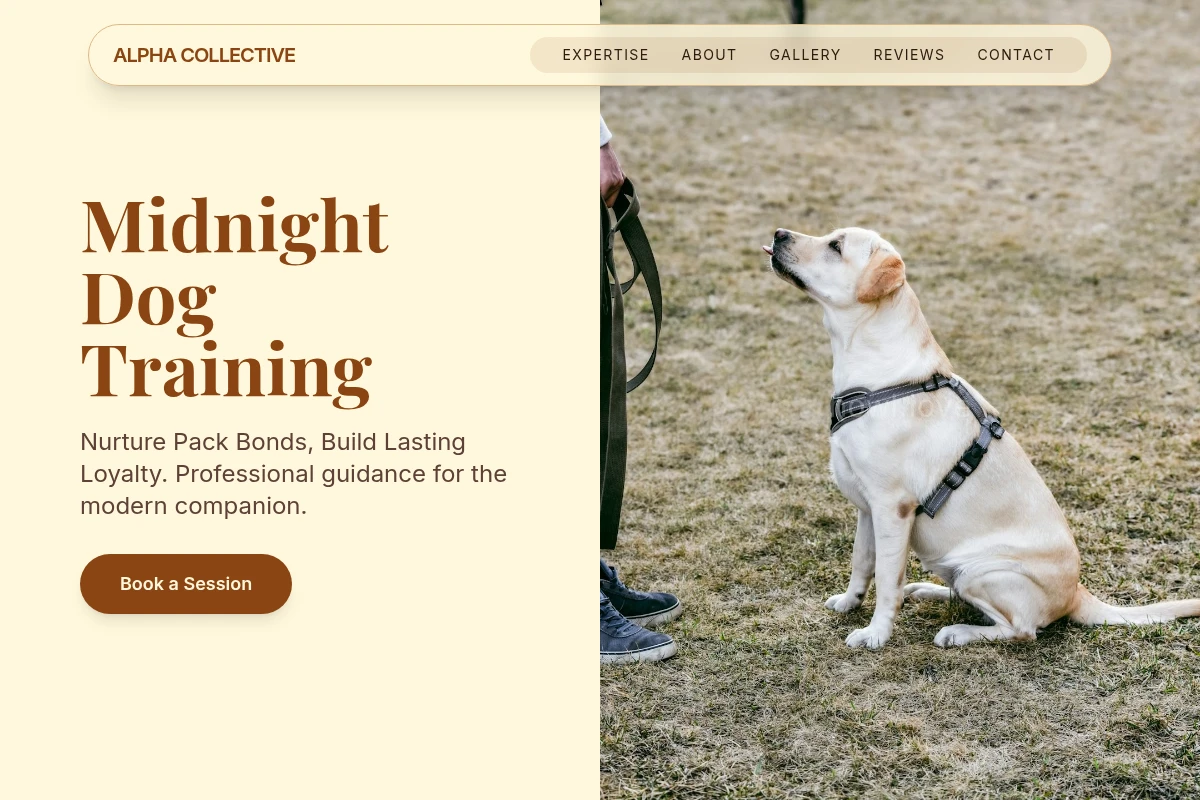 Midnight Dog Training