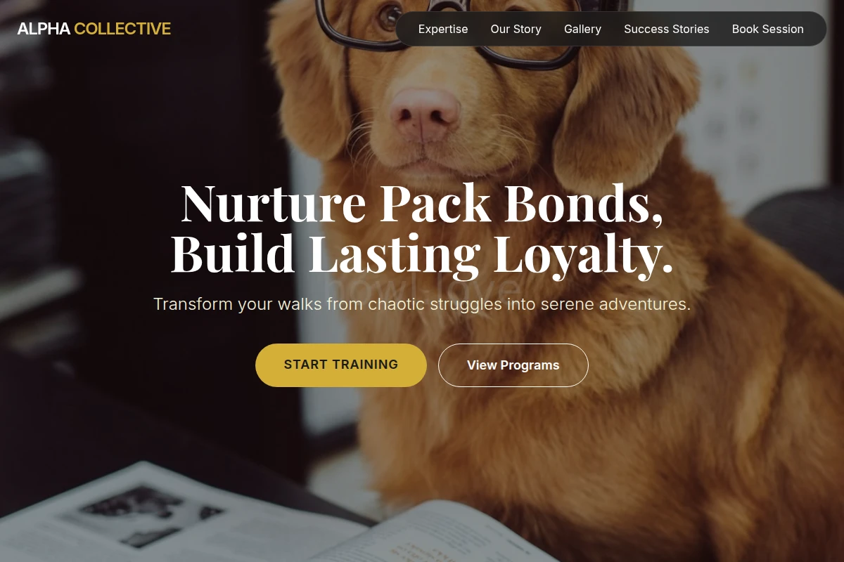 dog-training