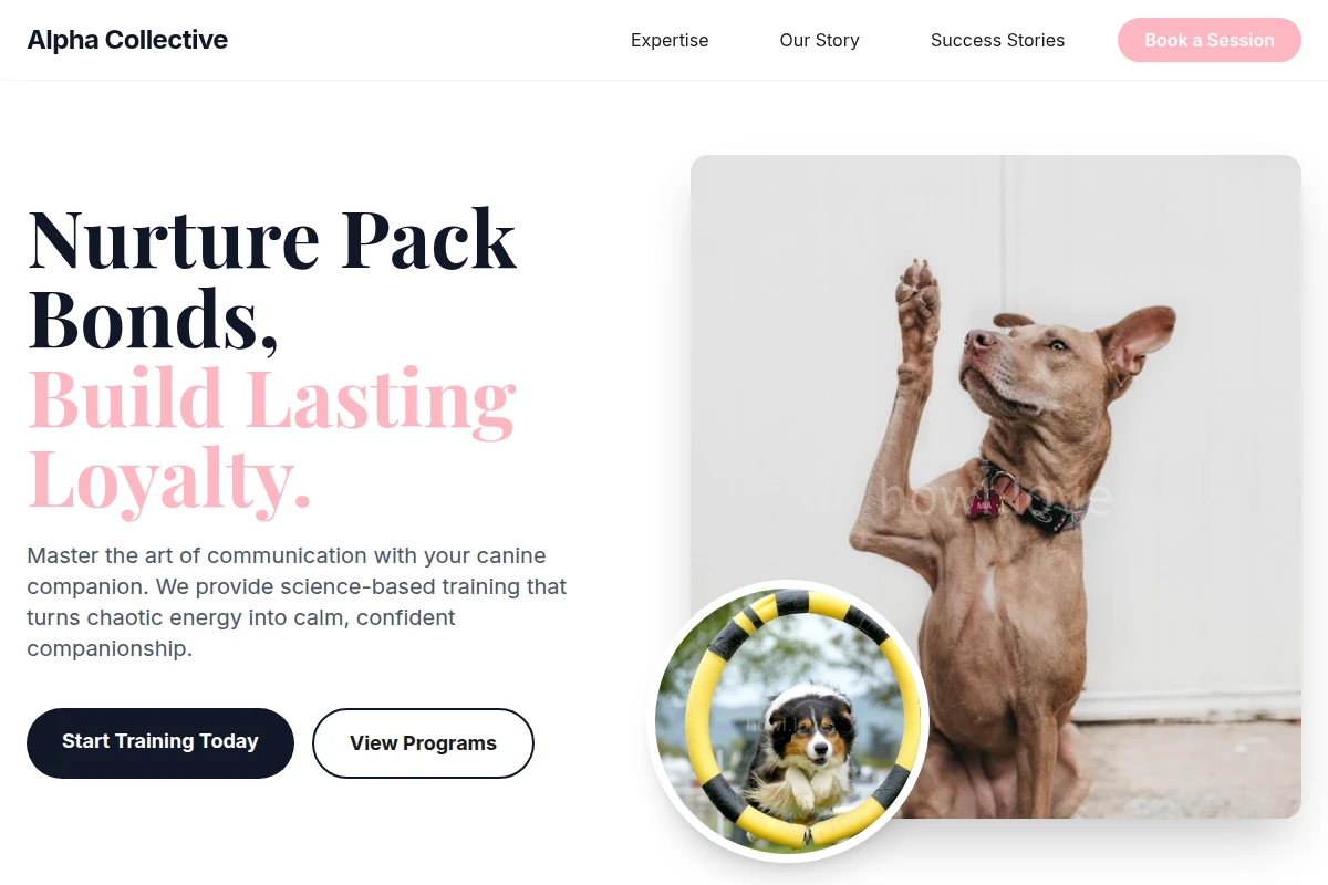 Wag Dog Training