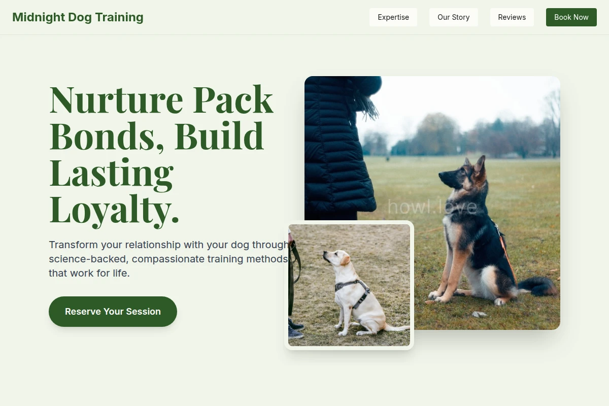 Midnight Dog Training