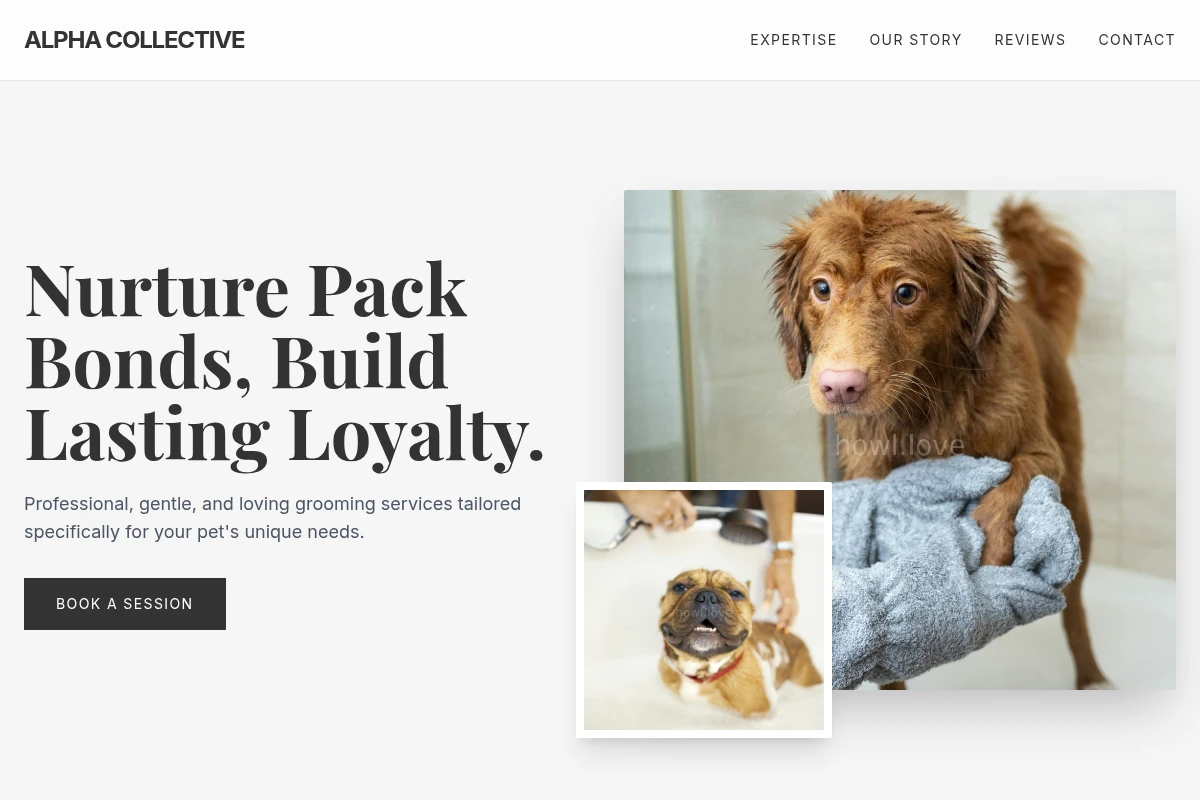 Bark Pet Grooming
