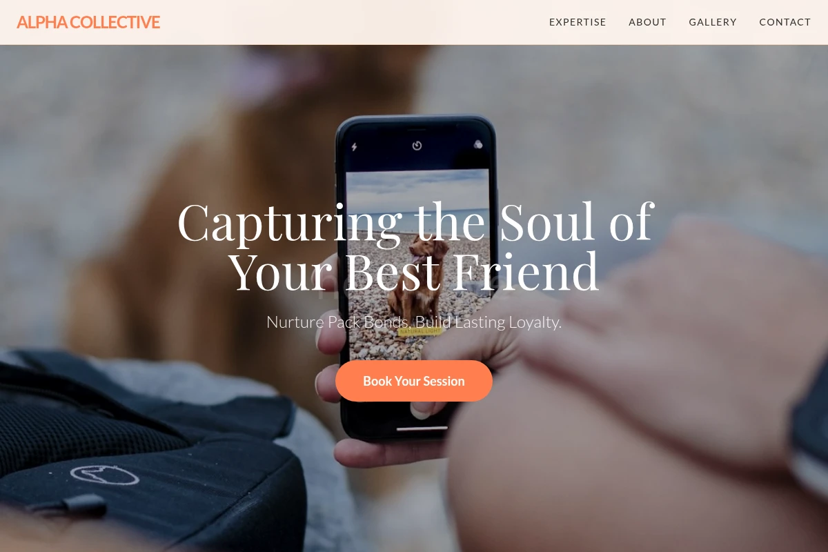 Canine Pet Photography