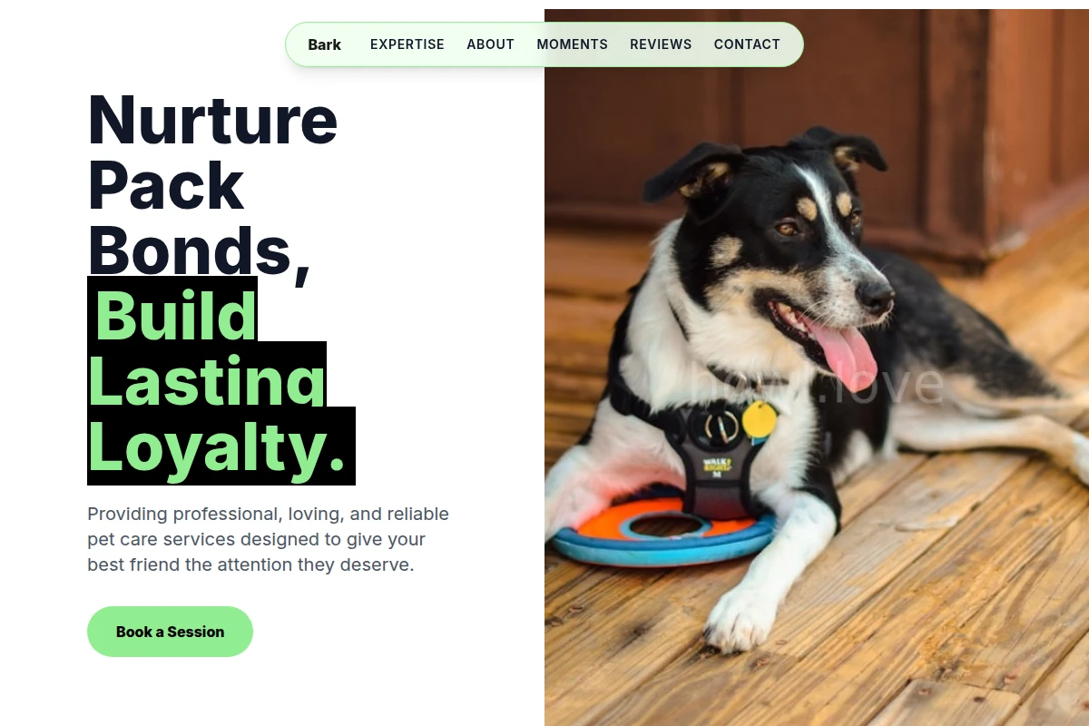 Bark Pet Services